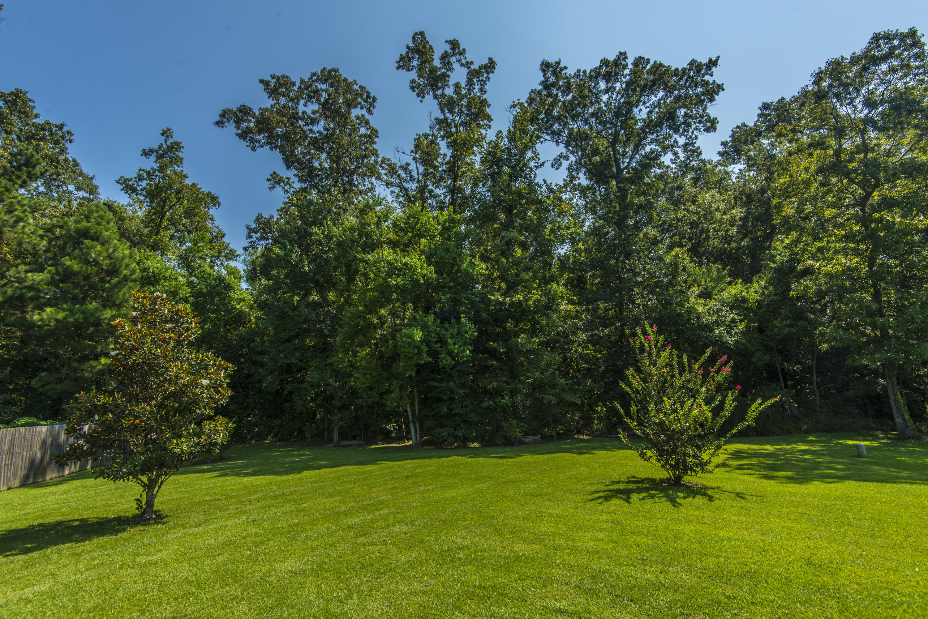 351 Briarbend Road Goose Creek, SC 29445 - Photo 5 of 26 Back Yard