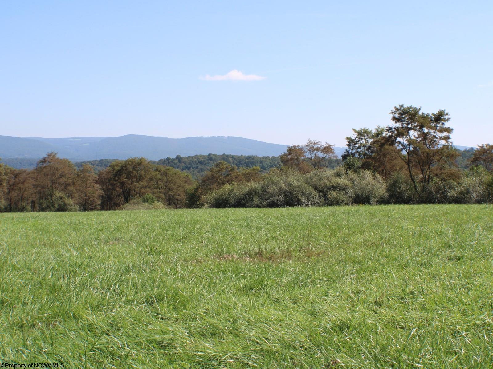 46.959-acres Beech Run Road Albright, WV 26519 - Photo 13 of 29 Gallery Image 13