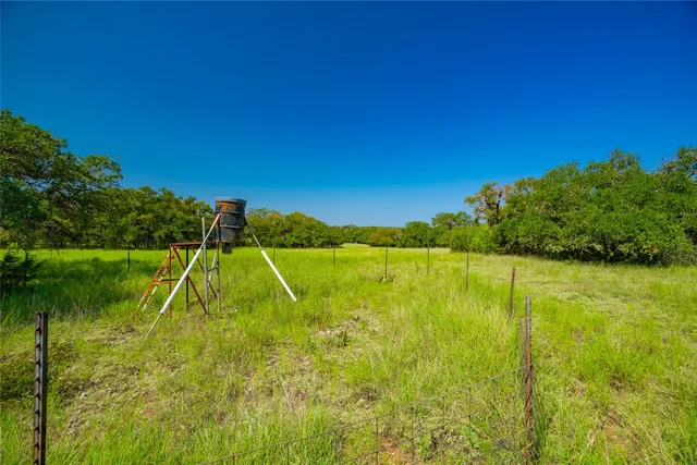 a view of a green field with lots of bushes