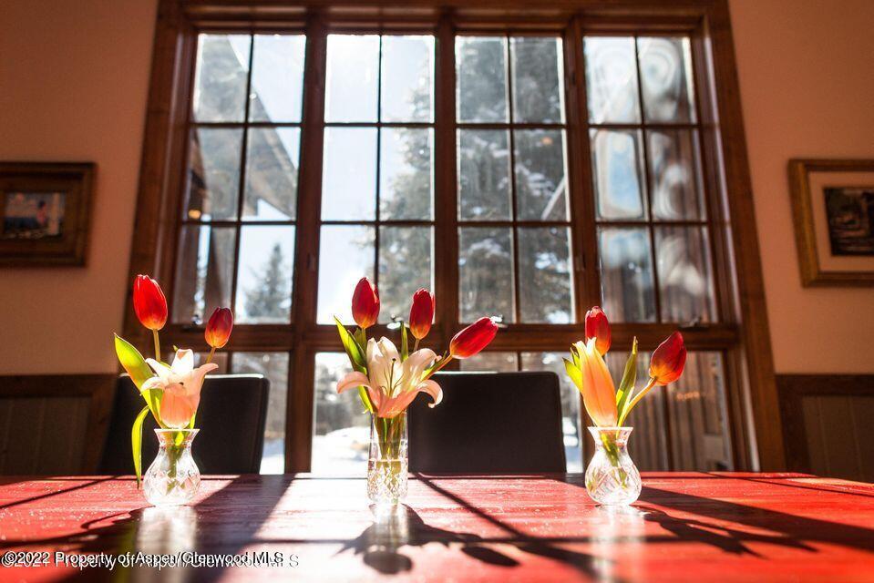 38 Diamond A Ranch Road Carbondale, CO 81623 - Photo 16 of 44 a dining room with furniture and a potted plant