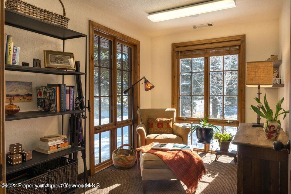 38 Diamond A Ranch Road Carbondale, CO 81623 - Photo 18 of 44 a living room with furniture and a window