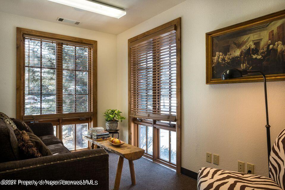 38 Diamond A Ranch Road Carbondale, CO 81623 - Photo 19 of 44 a living room with furniture and large window
