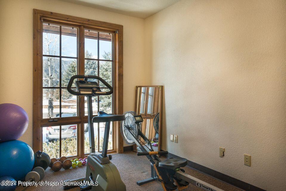 38 Diamond A Ranch Road Carbondale, CO 81623 - Photo 20 of 44 a room with gym equipment and a large window