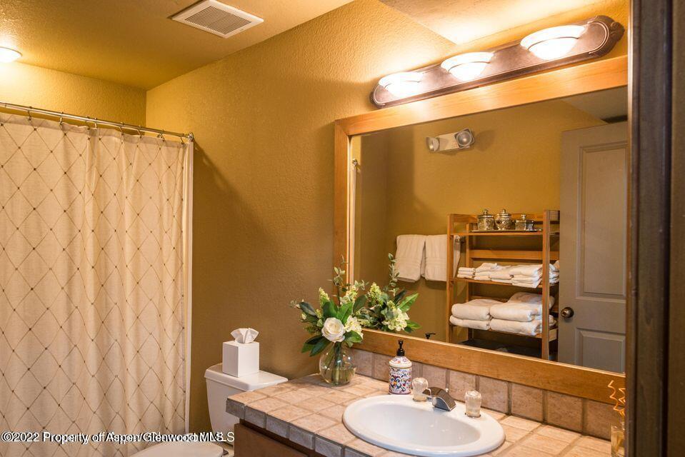 38 Diamond A Ranch Road Carbondale, CO 81623 - Photo 26 of 44 a bathroom with a sink and a mirror