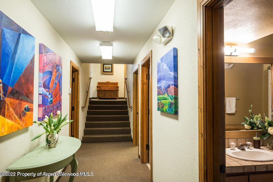 38 Diamond A Ranch Road Carbondale, CO 81623 - Photo 39 of 44 a view of entryway with furniture and flower pot