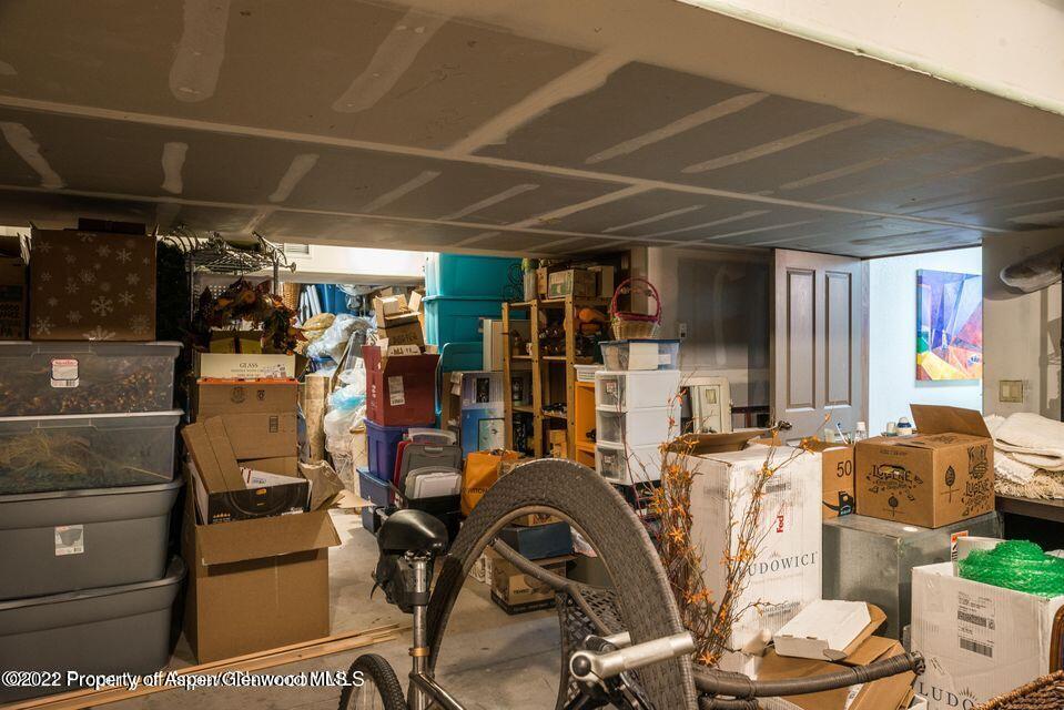 38 Diamond A Ranch Road Carbondale, CO 81623 - Photo 41 of 44 a view of a room with gym equipment