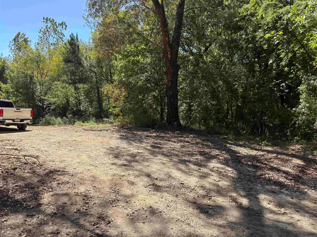 a view of outdoor space with trees