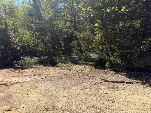 a view of a backyard of the house