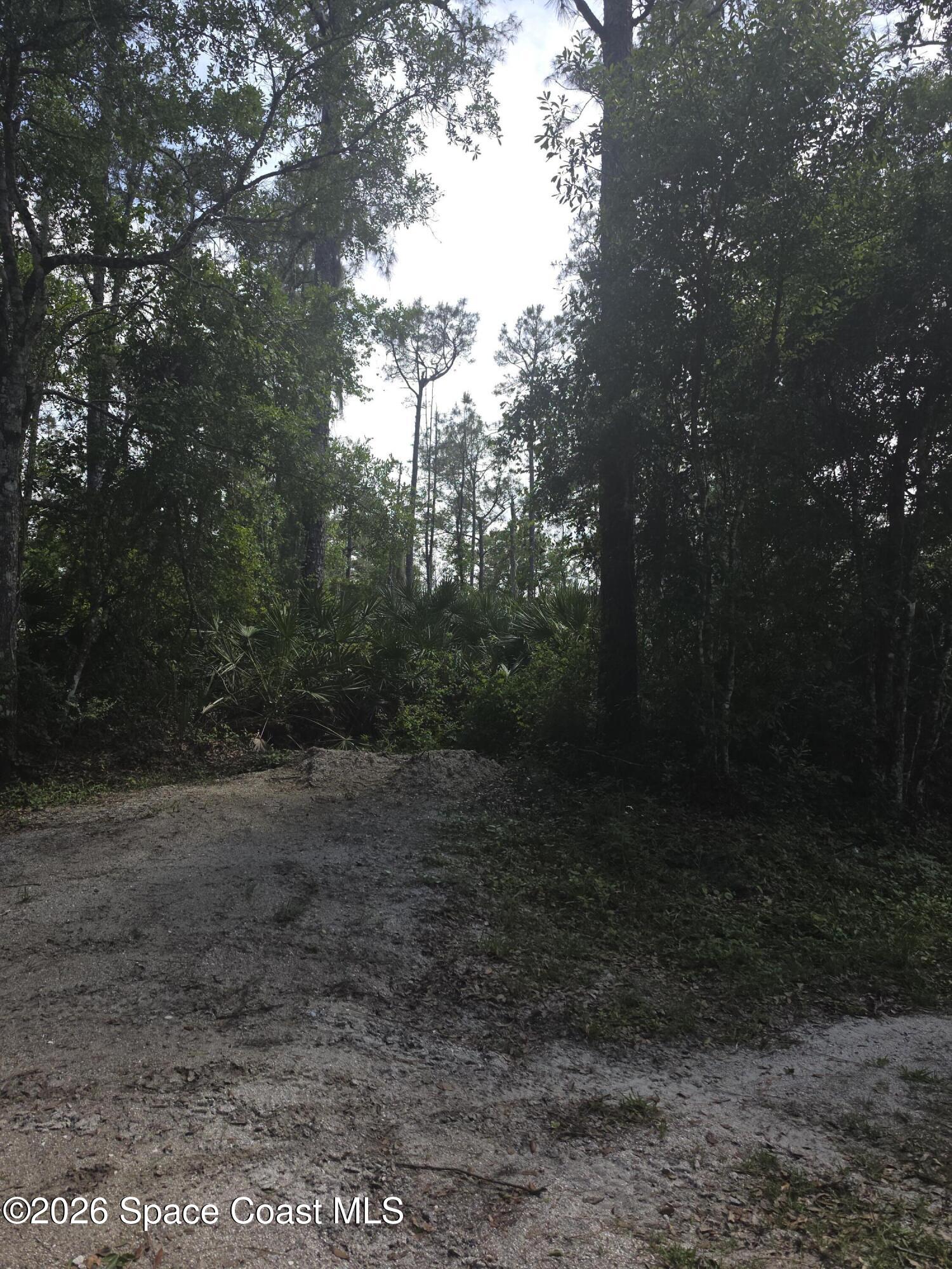 0 Spanks Street Mims, FL 32754 - Photo 2 of 6 a view of a yard with trees