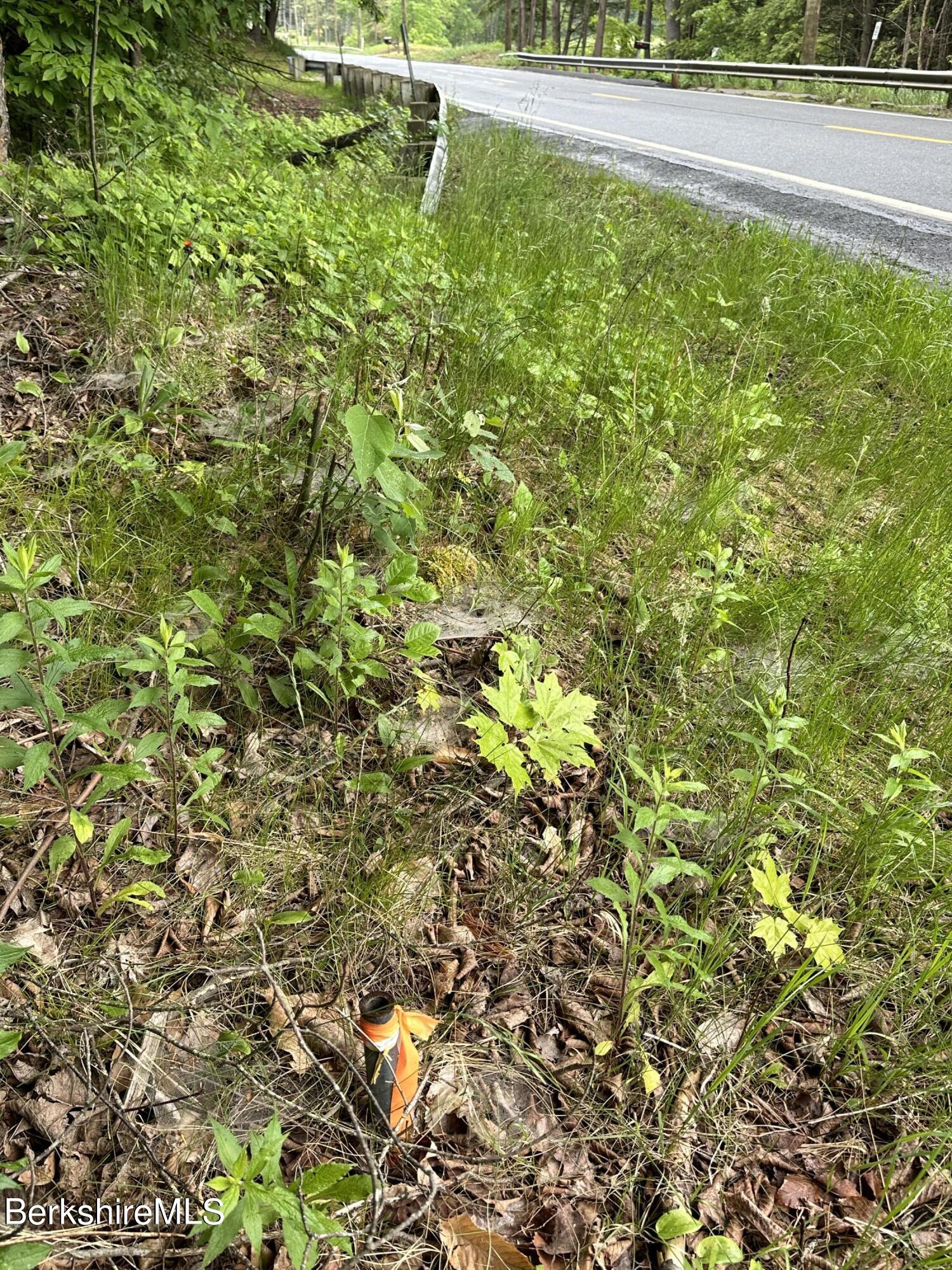 0 South Washington State Road Washington, MA 01223 - Photo 3 of 4 North corner pin