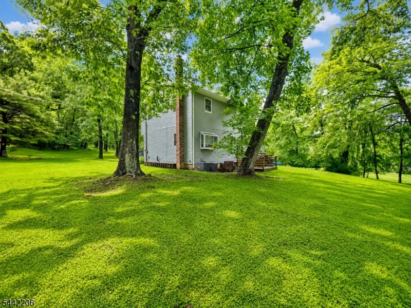 123 Mt Grove Road Califon, NJ 07830 - Photo 6 of 33
