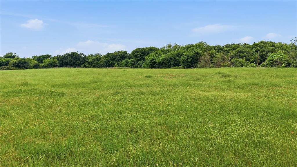 5-ac New Hope Road Aubrey, TX 76227 - Photo 11 of 14