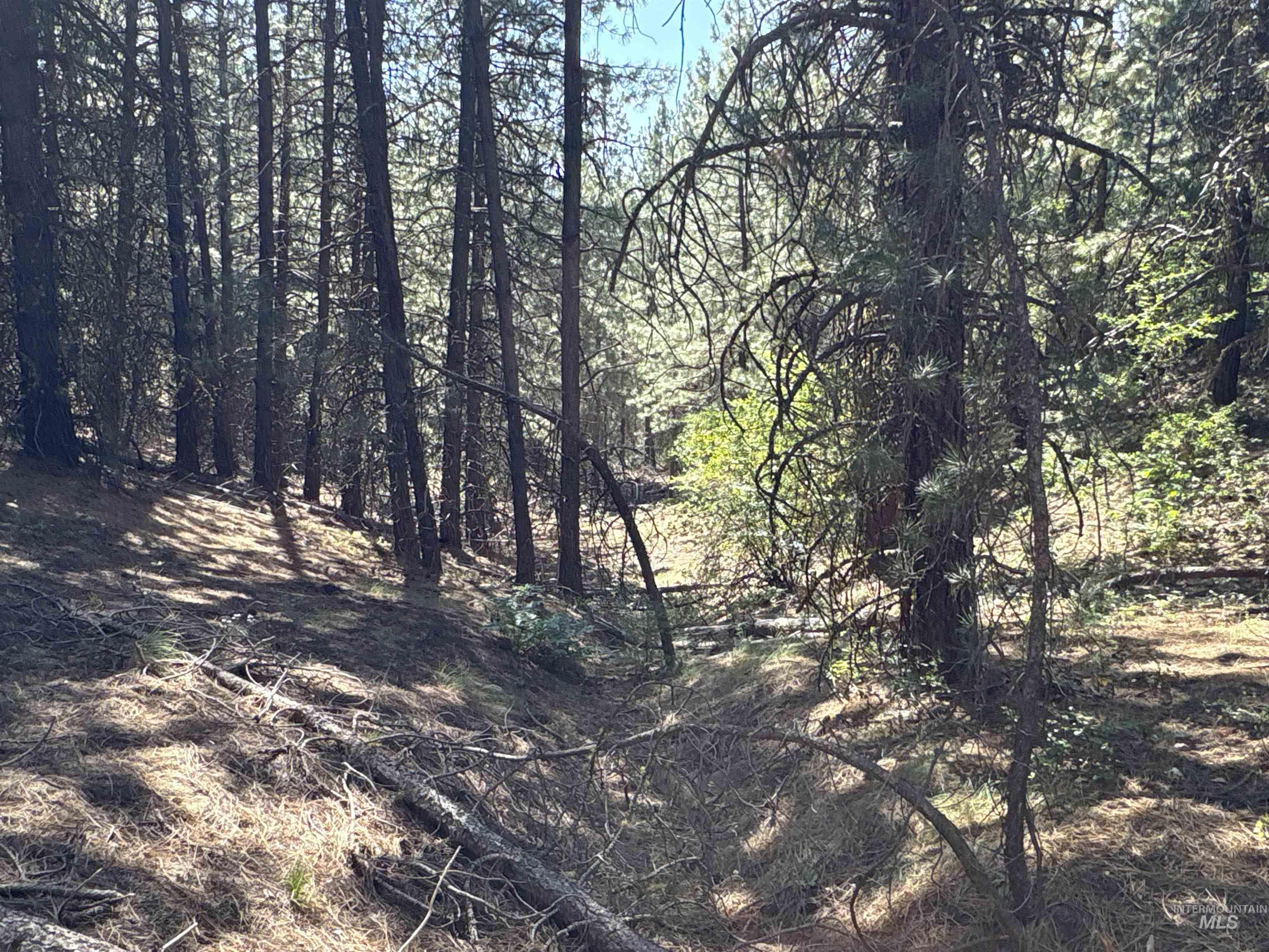 Tbd Smith Creek Road Mountain Home, ID 83647 - Photo 18 of 19