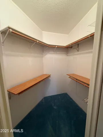 a bathroom with a shower and a toilet