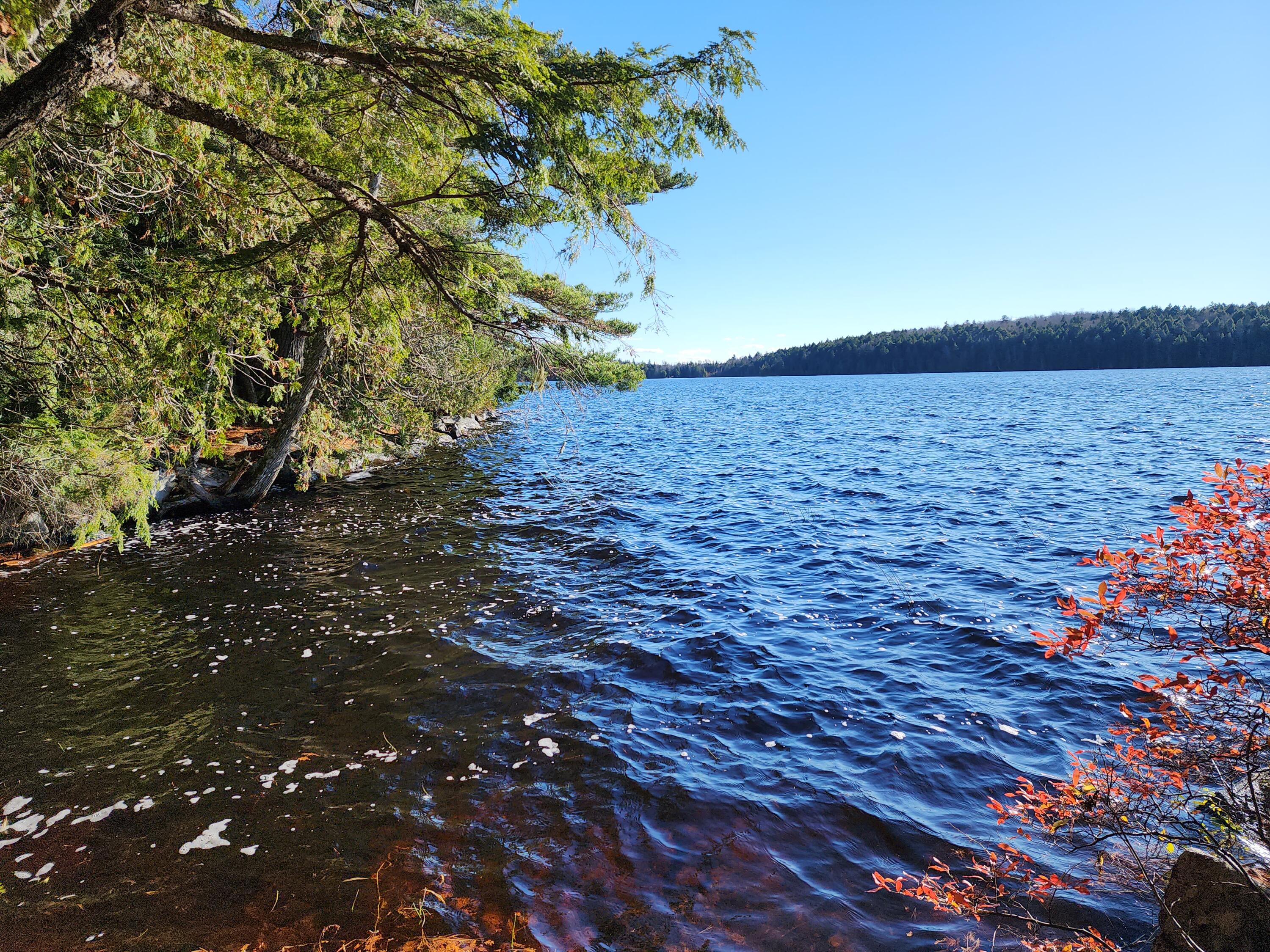 0 Patrick Lake Road East Machias, ME 04630 - Photo 4 of 8 20231102_143023