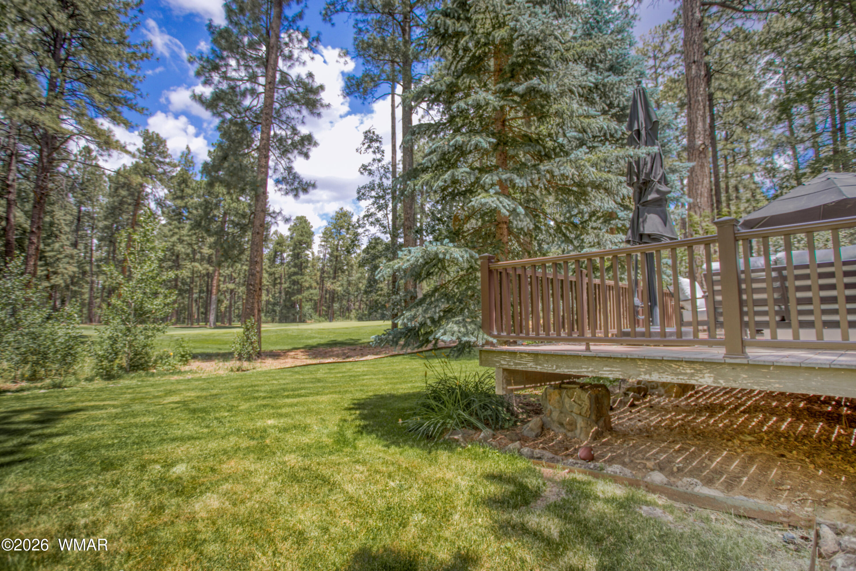 3280 Red Robin Road Pinetop, AZ 85935 - Photo 6 of 64