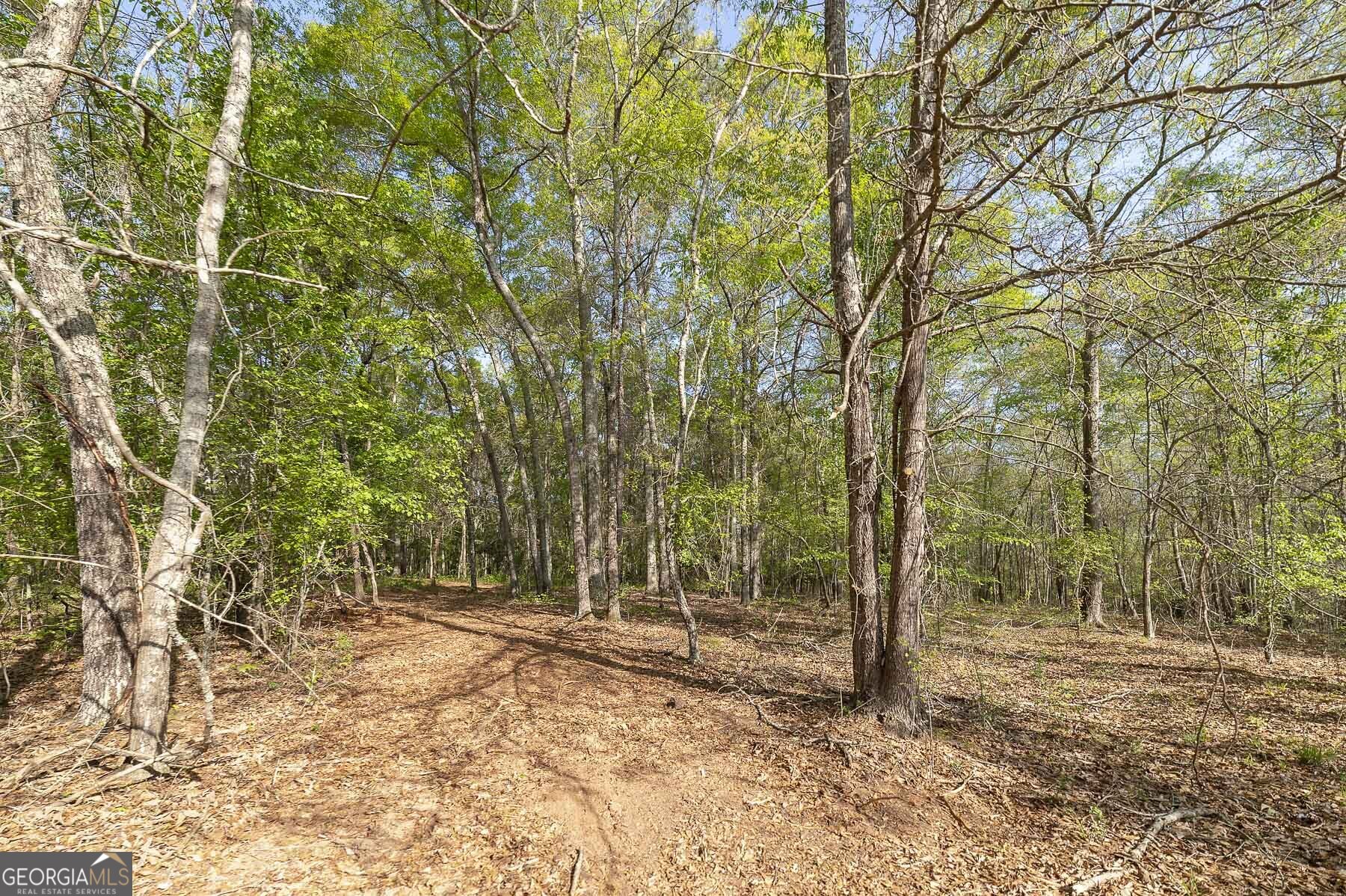 168 Baptist Camp Road Griffin, GA 30223 - Photo 11 of 15