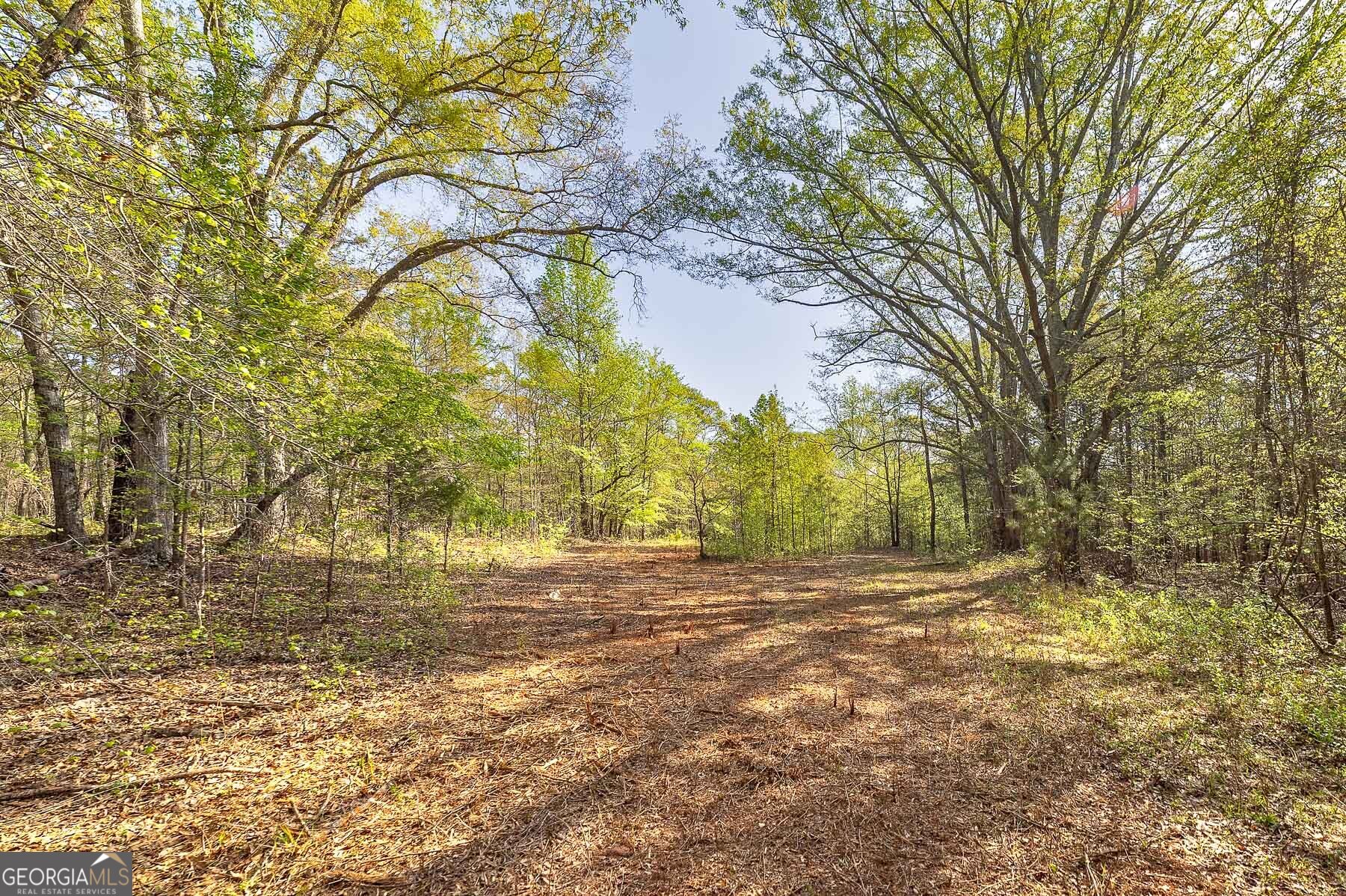 168 Baptist Camp Road Griffin, GA 30223 - Photo 12 of 15