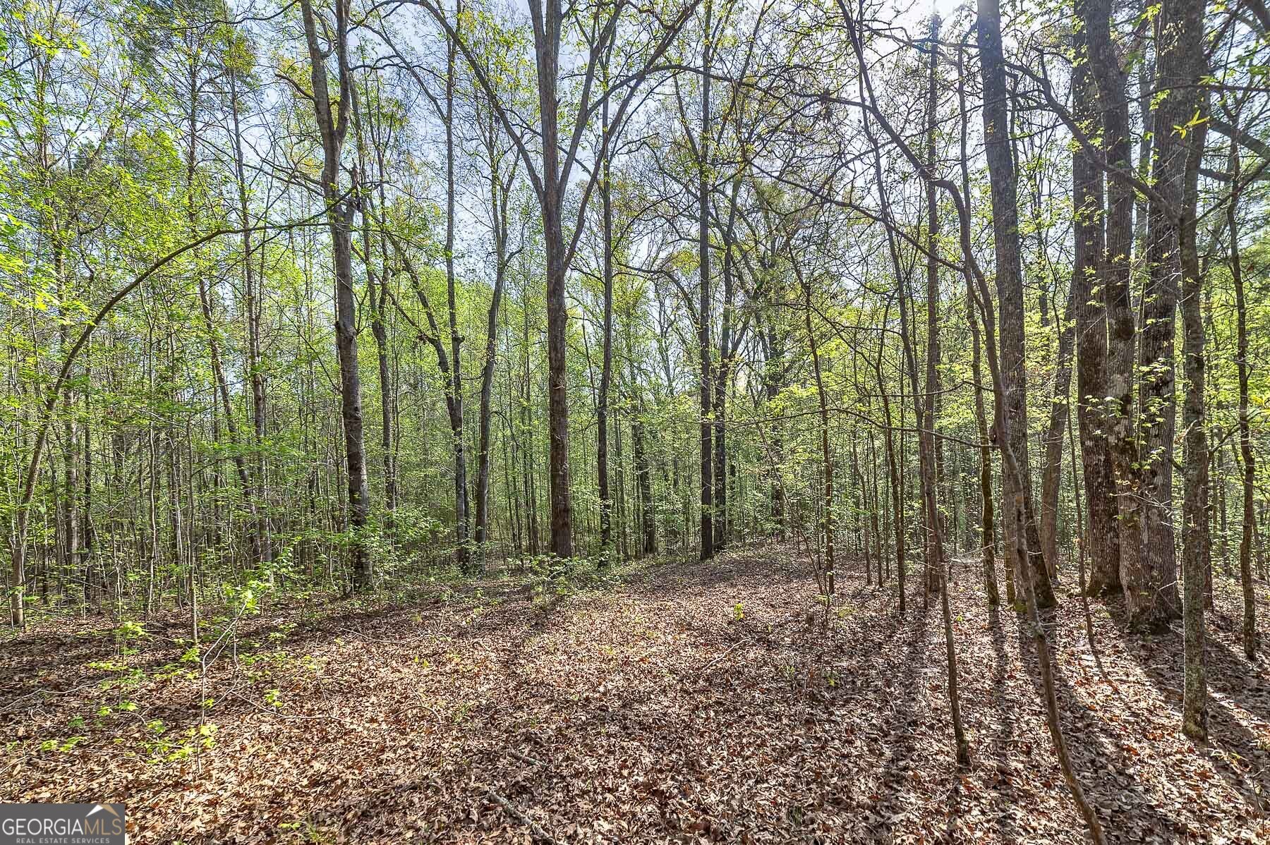 168 Baptist Camp Road Griffin, GA 30223 - Photo 14 of 15