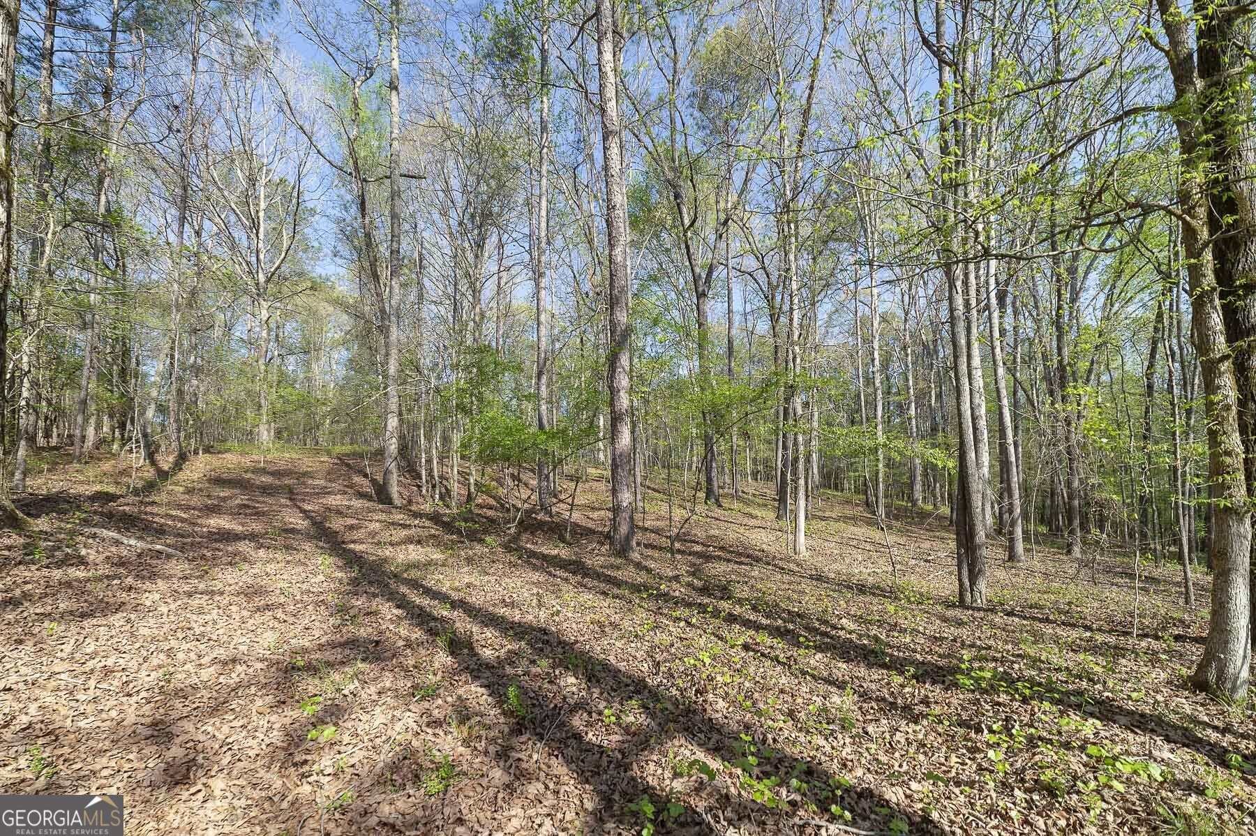 168 Baptist Camp Road Griffin, GA 30223 - Photo 15 of 15