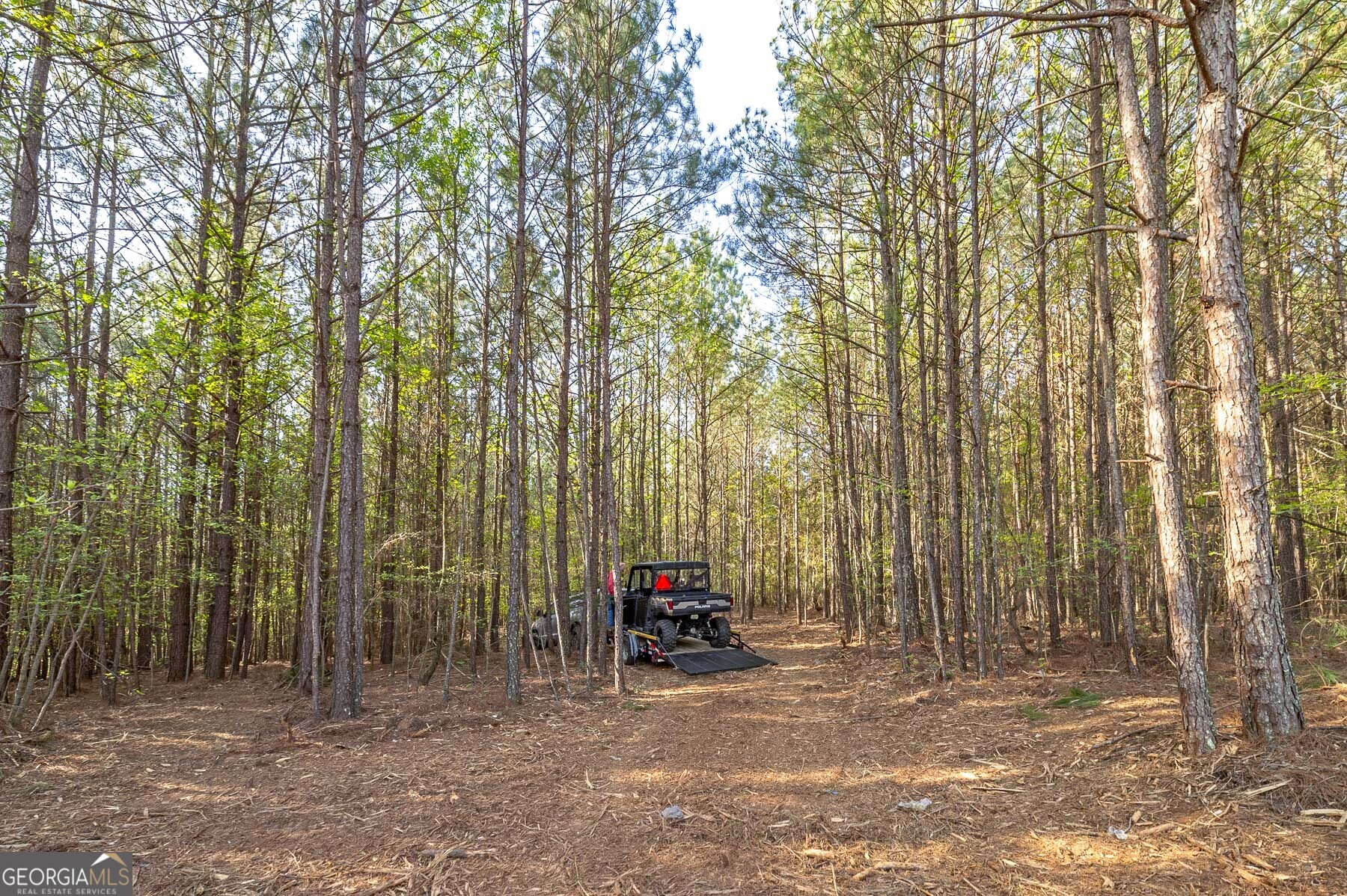 168 Baptist Camp Road Griffin, GA 30223 - Photo 5 of 15