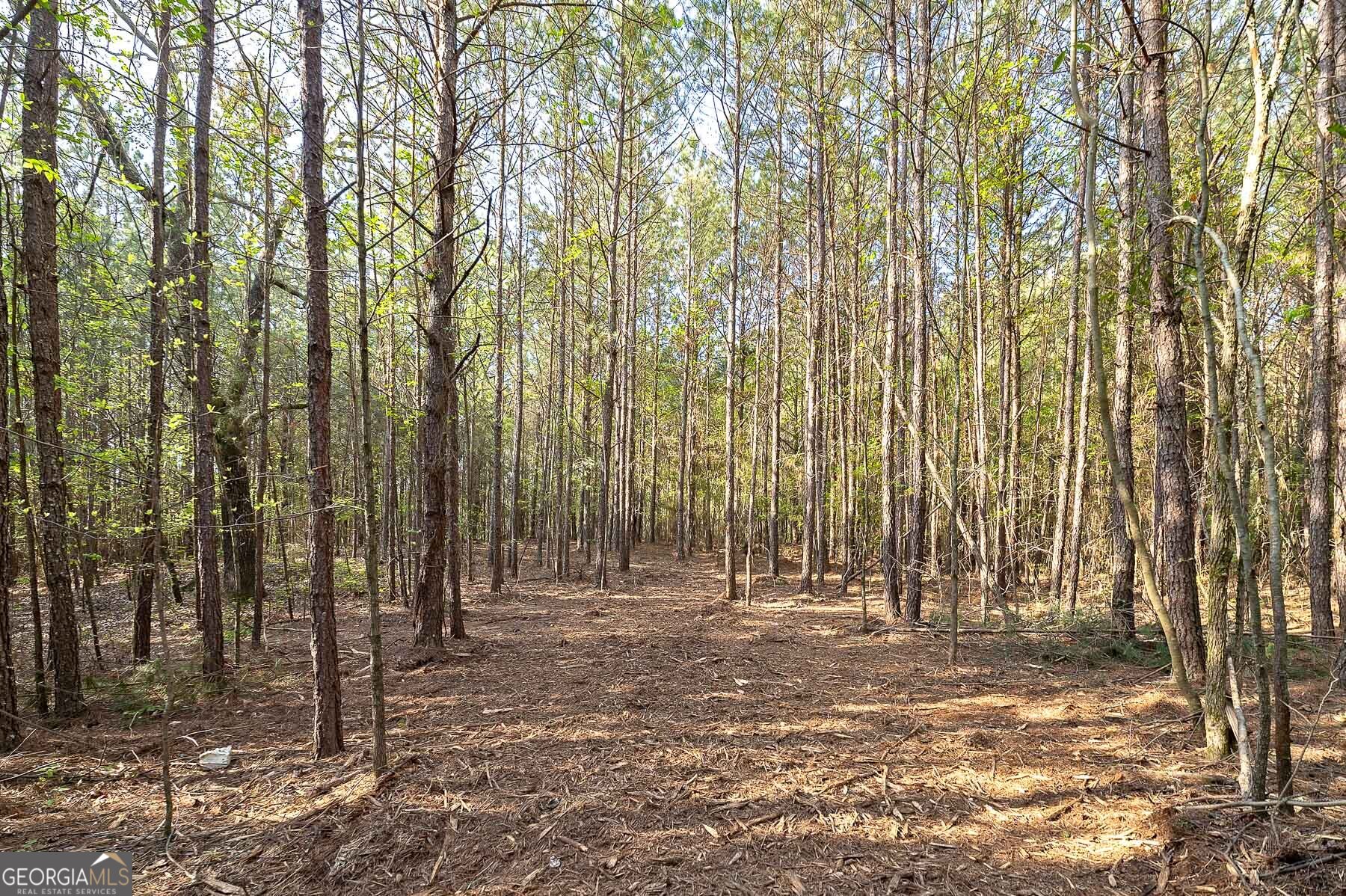 168 Baptist Camp Road Griffin, GA 30223 - Photo 6 of 15