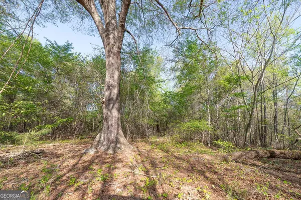 $125,000 | 168 Baptist Camp Road, Griffin, GA 30223