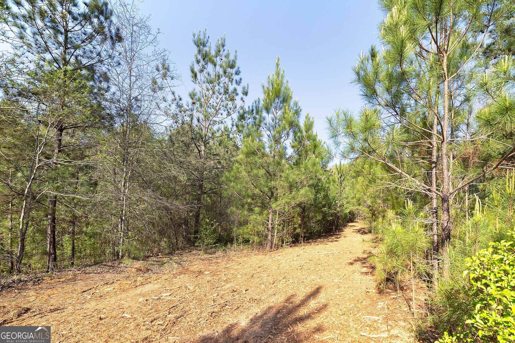 168 Baptist Camp Road Griffin, GA 30223 - Photo 8 of 15