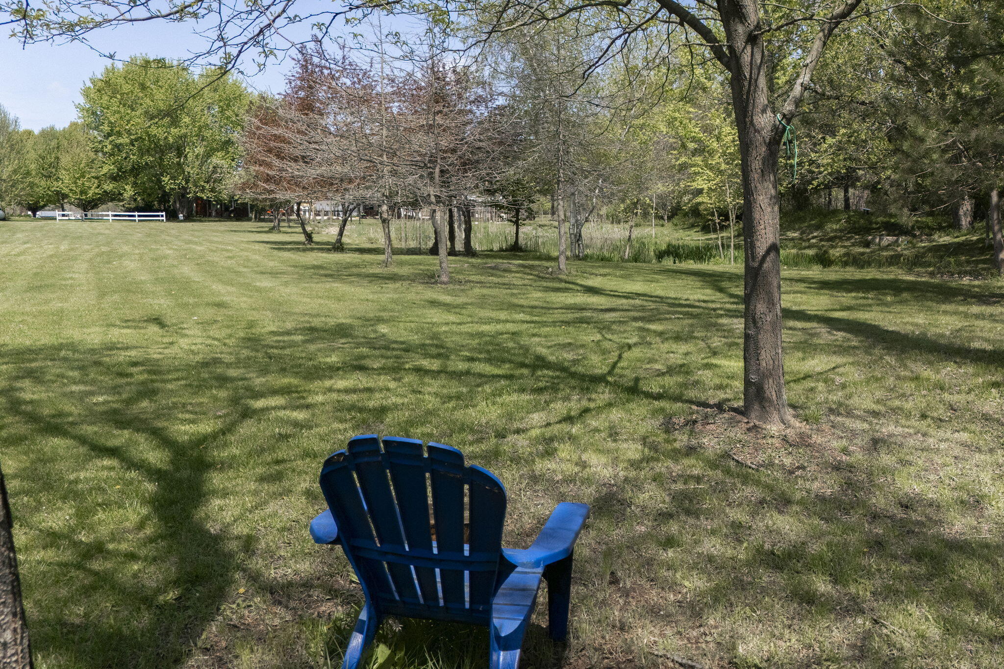11971 South Hildebrandt Road Sawyer, MI 49125 - Photo 4 of 49 Pasture