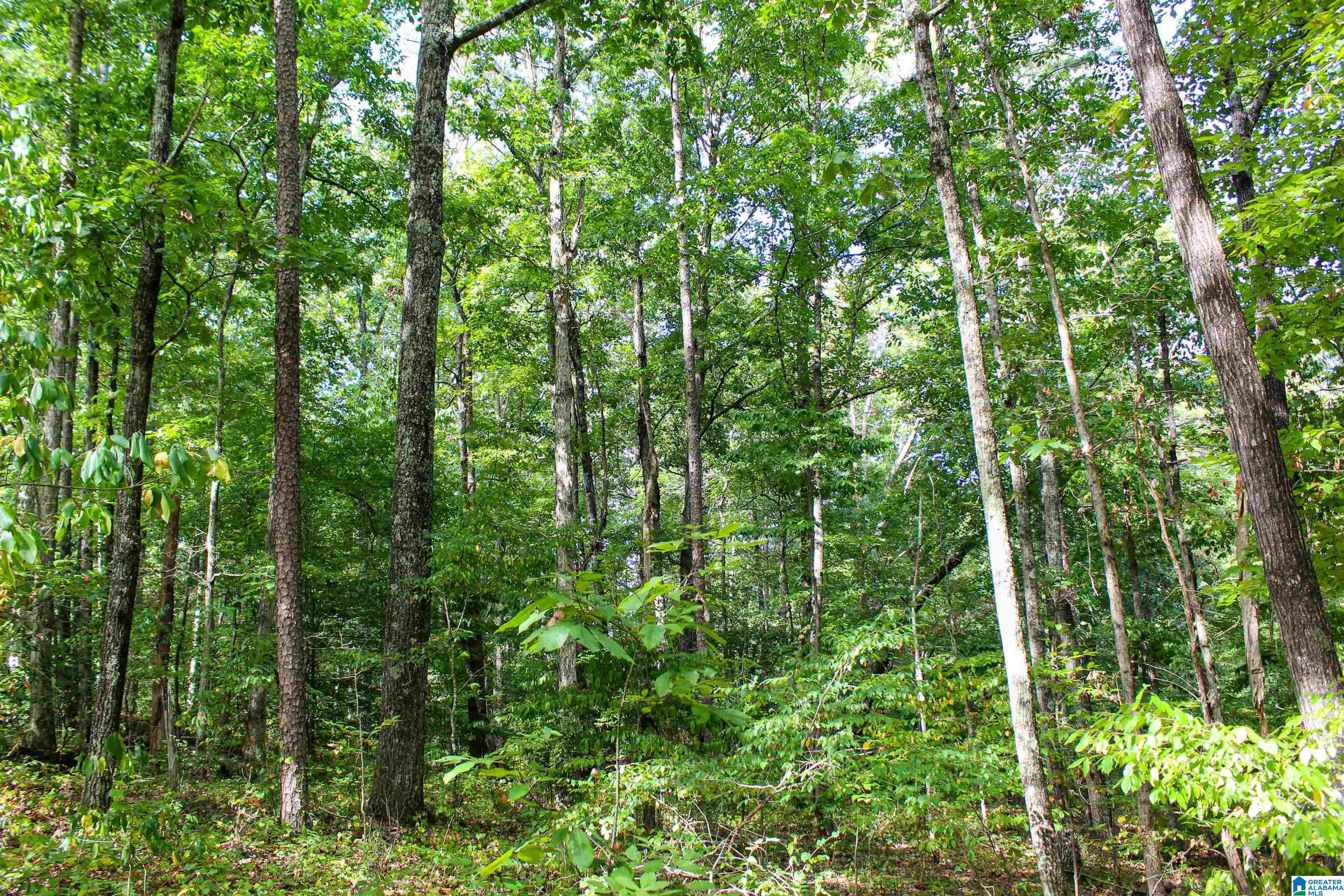 2266 Mountain View Road, Unit 1 Birmingham, AL 35210 - Photo 7 of 30
