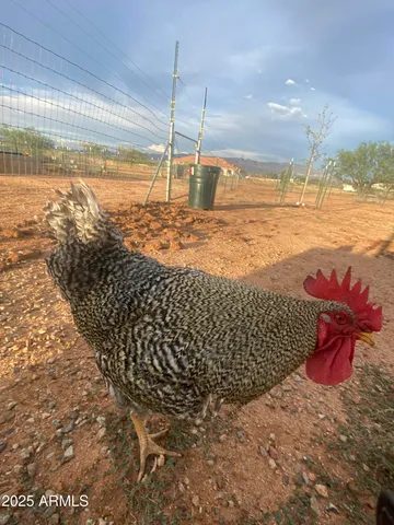 $612,000 | 10379 East Blue Sky Vista, Hereford, AZ 85615