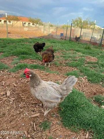 $612,000 | 10379 East Blue Sky Vista, Hereford, AZ 85615