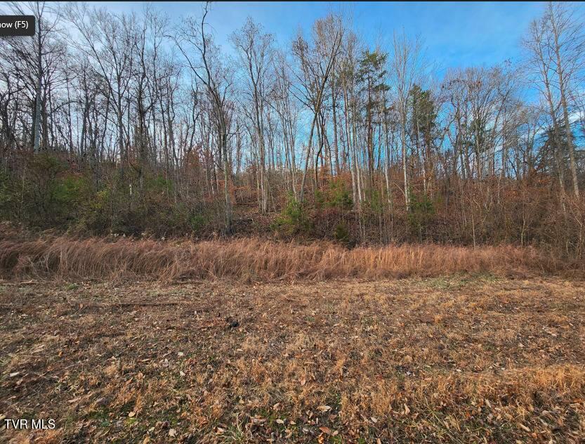 626 Ensor Road Church Hill, TN 37642 - Photo 2 of 3 11628544-NzGjVlhvSMDmsZfK