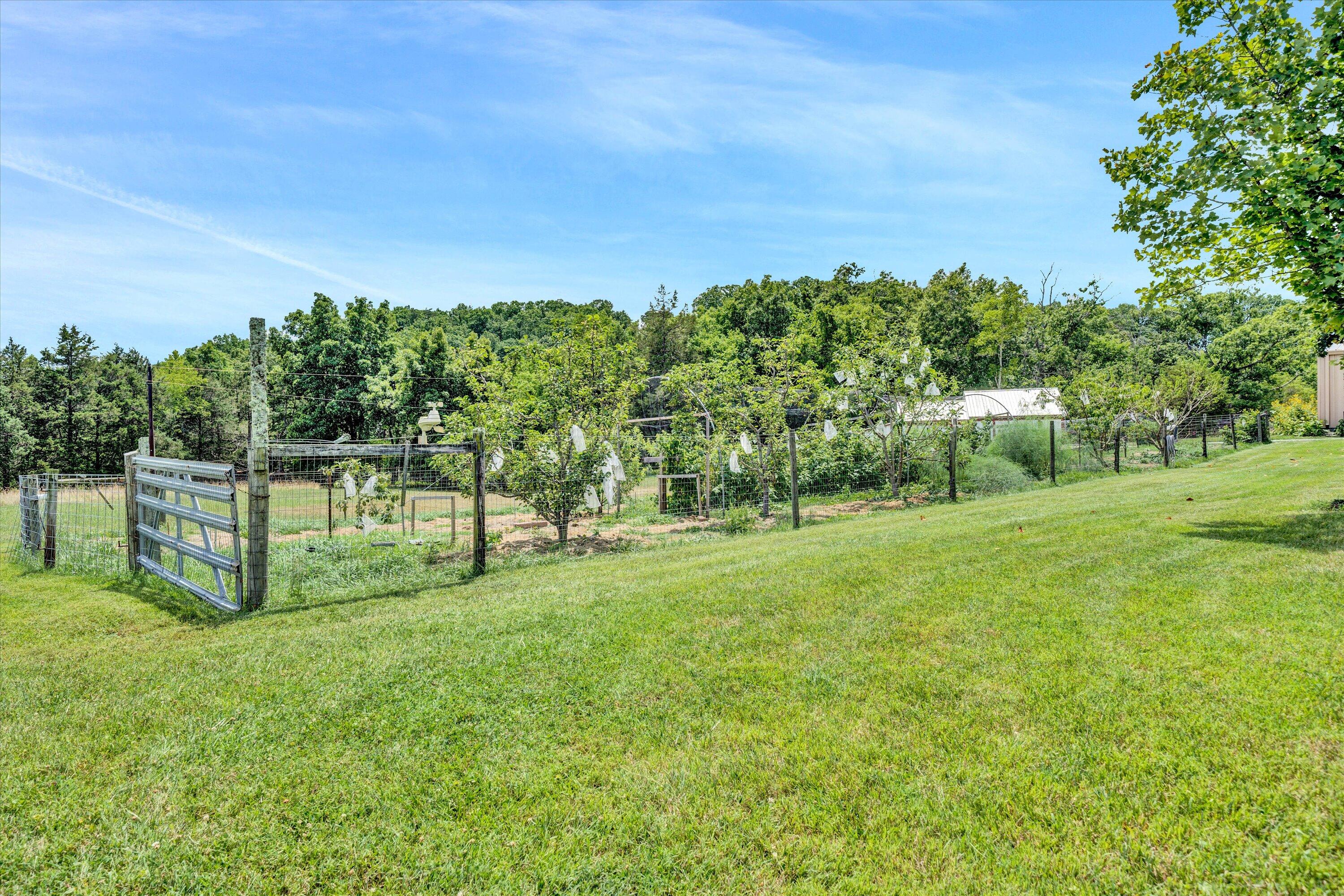 135 Borden Run Road Fincastle, VA 24090 - Photo 44 of 54 44-DSC00175