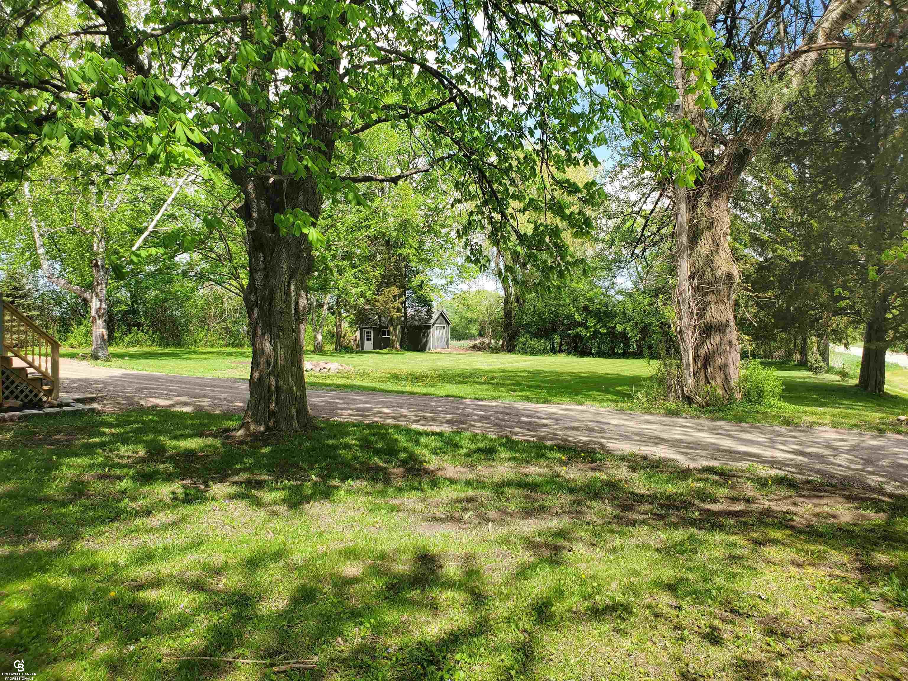 10974 Jeddo Road Yale, MI 48097 - Photo 10 of 23 front yard 2