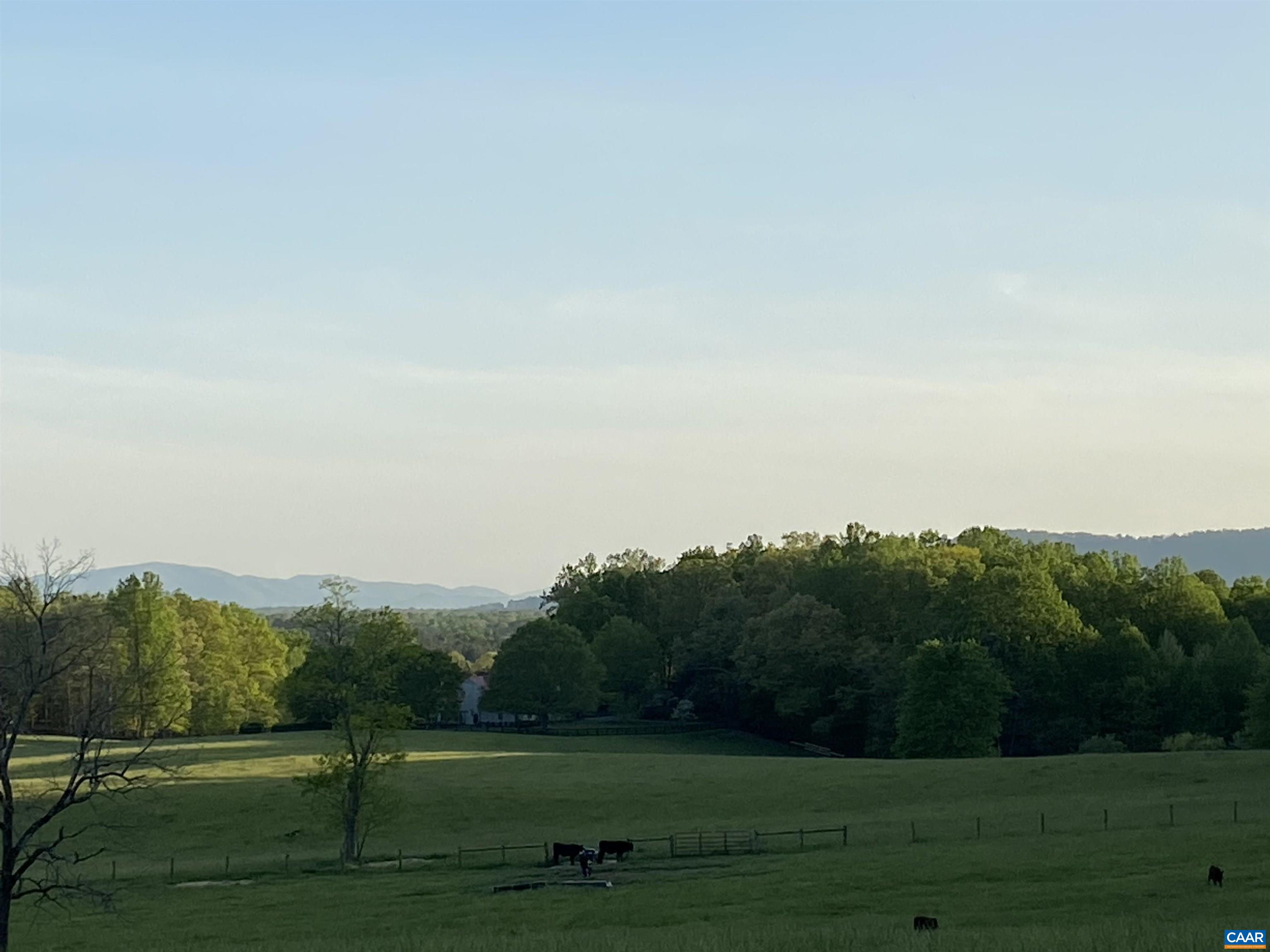 5083 Catterton Road Free Union, VA 22940 - Photo 6 of 33 a view of a grassy field