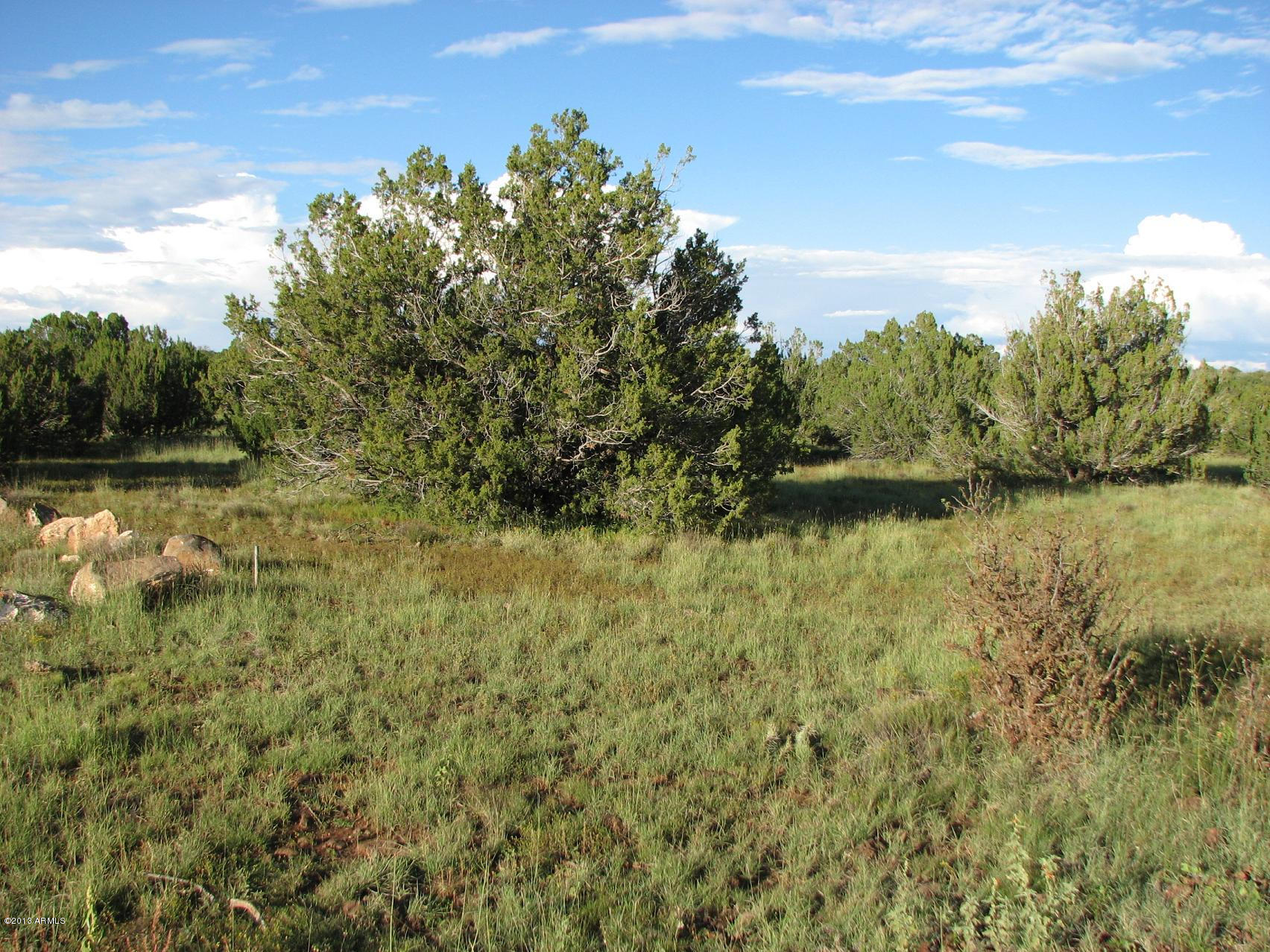 2125 Supancheck Road, Unit 9 Show Low, AZ 85901 - Photo 5 of 5 CFSAZ-2125 Supancheck