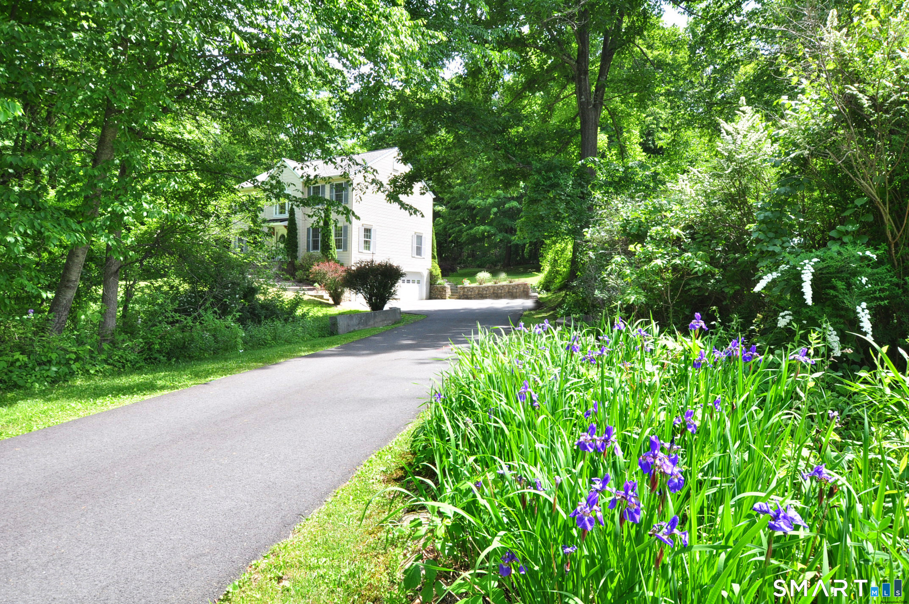 12 Revere Road Bridgewater, CT 06752 - Photo 2 of 40 a view of a garden with plants and large trees