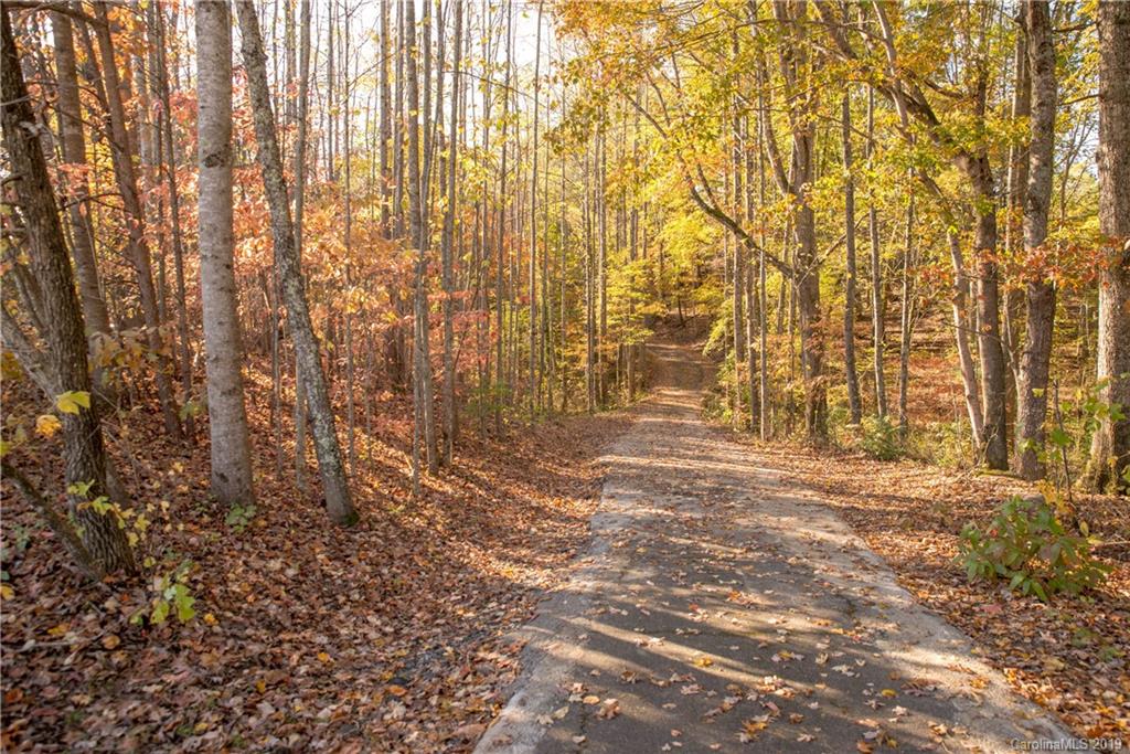 1257 Coopers Gap Road Mill Spring, NC 28756 - Photo 44 of 46