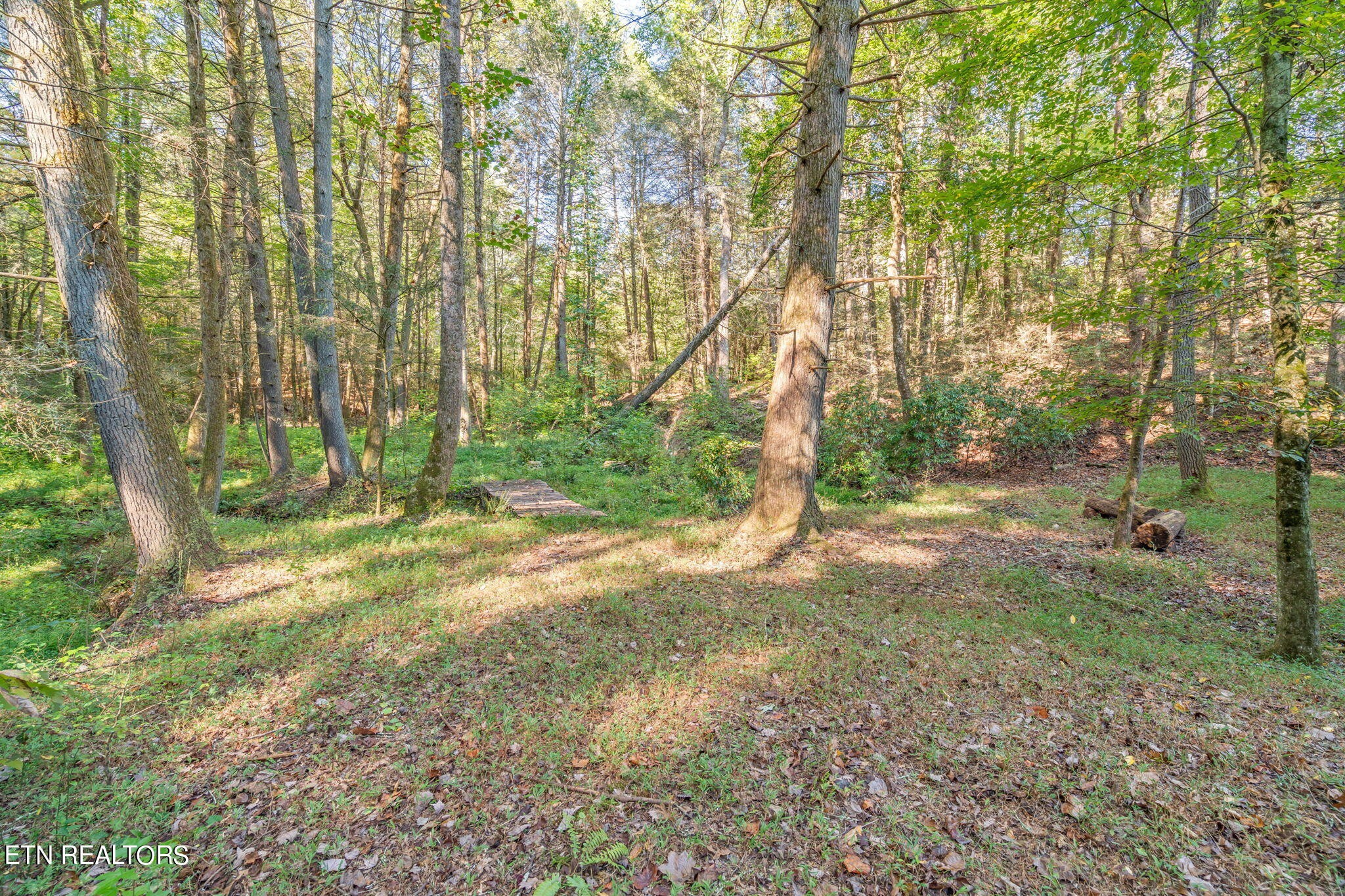 275 Bowers Road Harriman, TN 37748 - Photo 54 of 60 Gallery Image 54