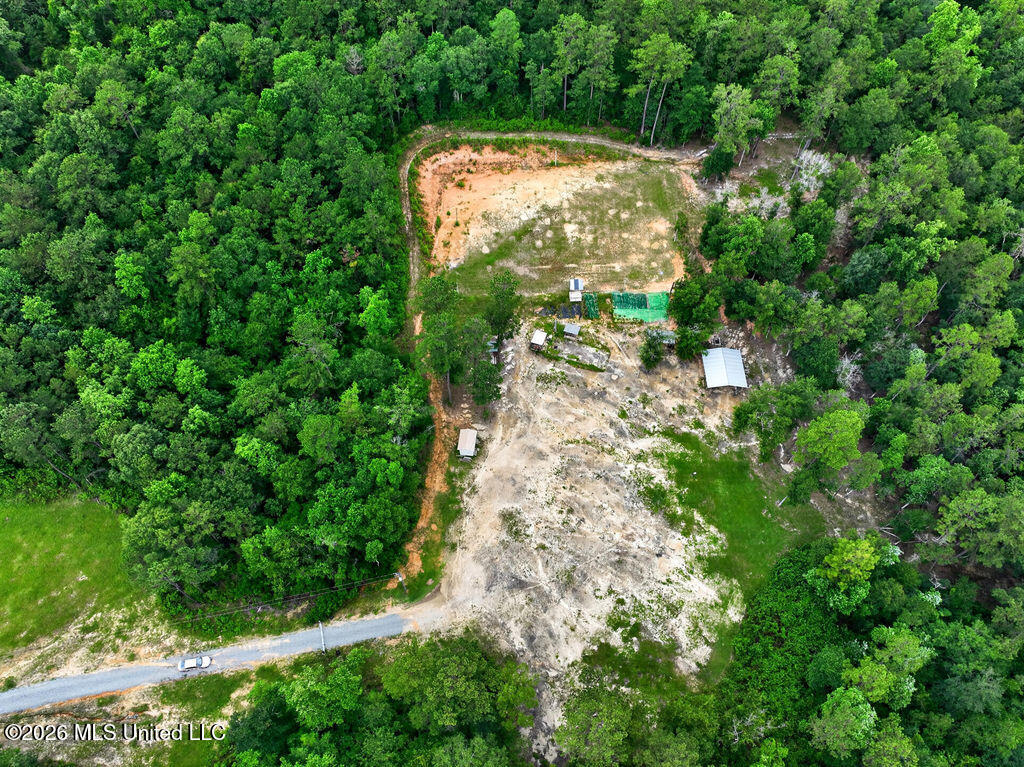 94 Desoto Road McHenry, MS 39561 - Photo 7 of 37 94DesotoRd.S-6