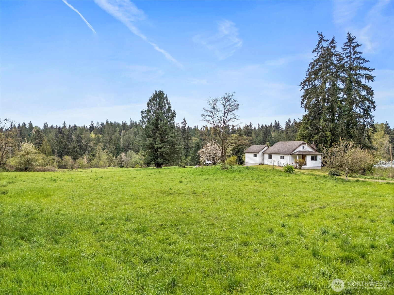 12106 County Line Road East Edgewood, WA 98372 - Photo 24 of 31 a view of outdoor space and yard