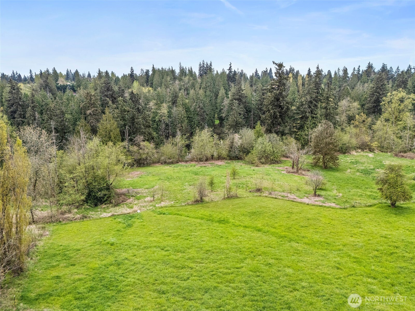 12106 County Line Road East Edgewood, WA 98372 - Photo 30 of 31 a view of a green field with trees in the background