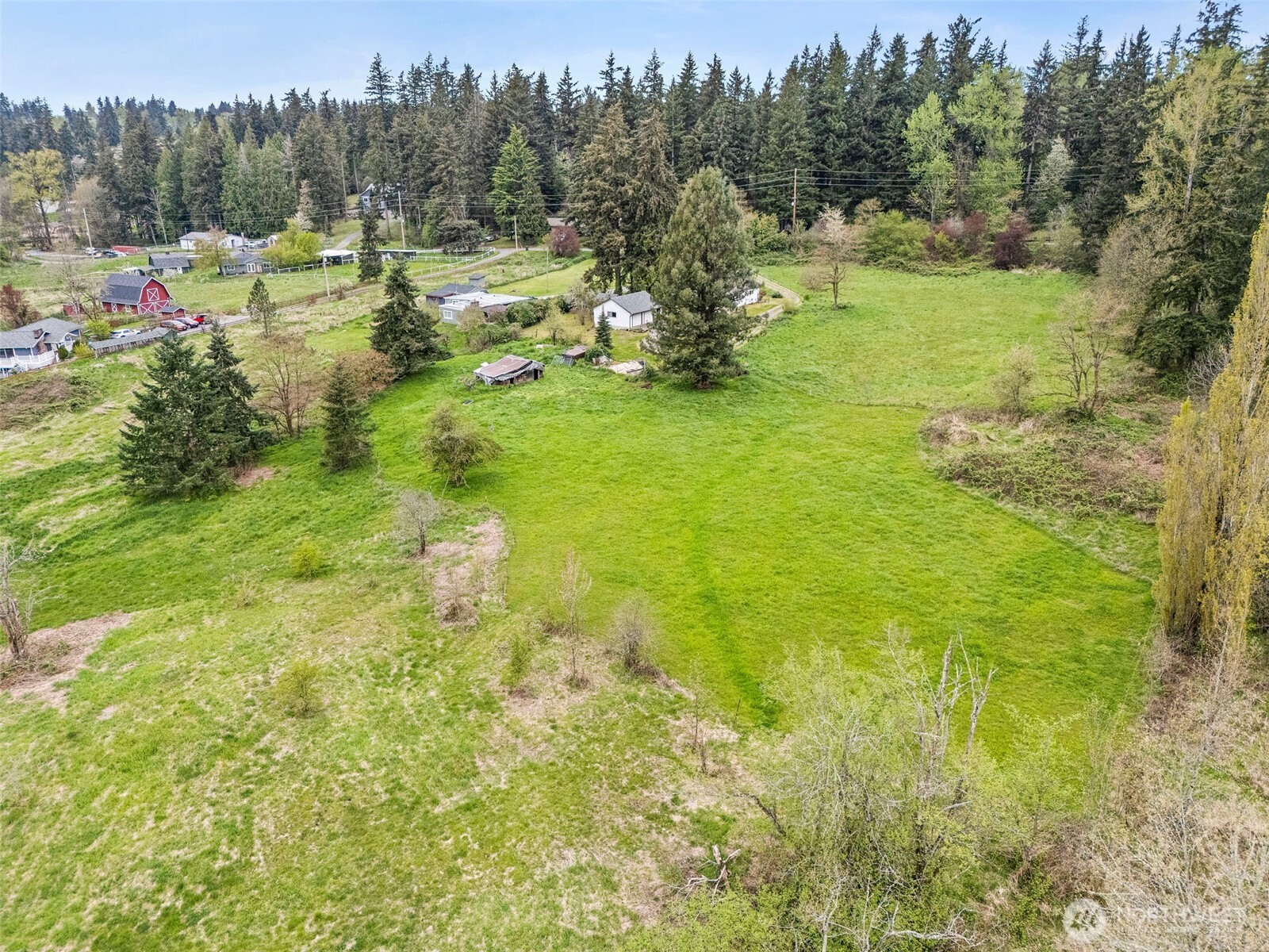 12106 County Line Road East Edgewood, WA 98372 - Photo 31 of 31 a view of a garden with an trees