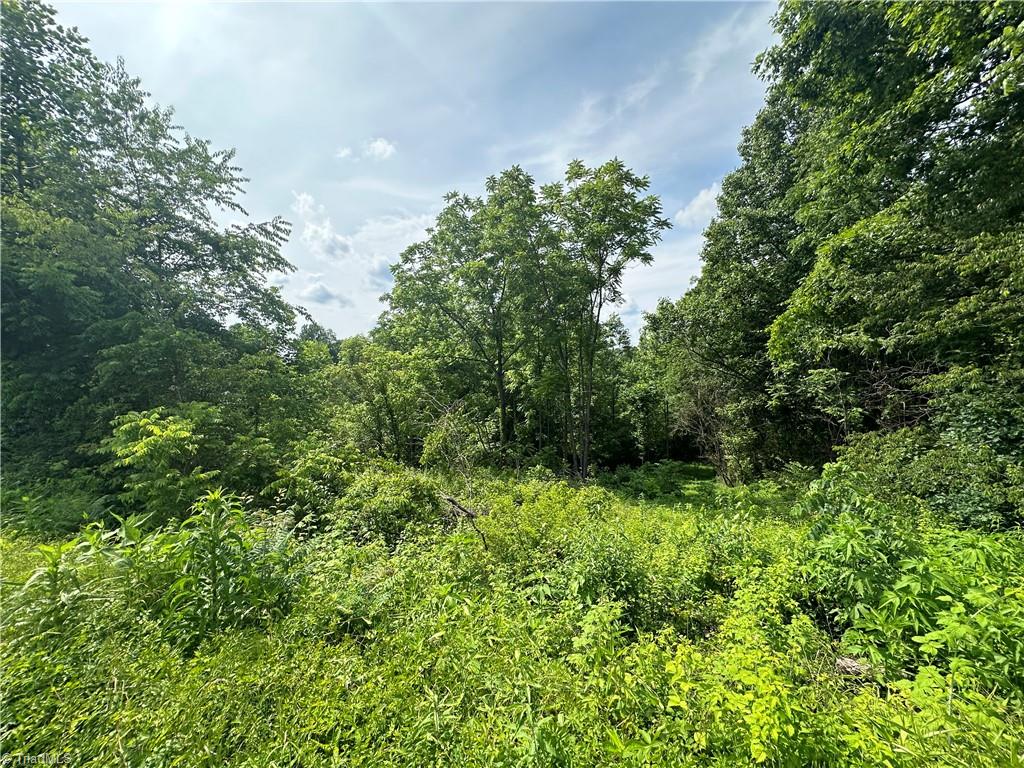 Tbd Clearview Road Moravian Falls, NC 28654 - Photo 11 of 20 Gallery Image 11