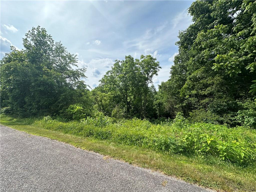 Tbd Clearview Road Moravian Falls, NC 28654 - Photo 13 of 20 Gallery Image 13