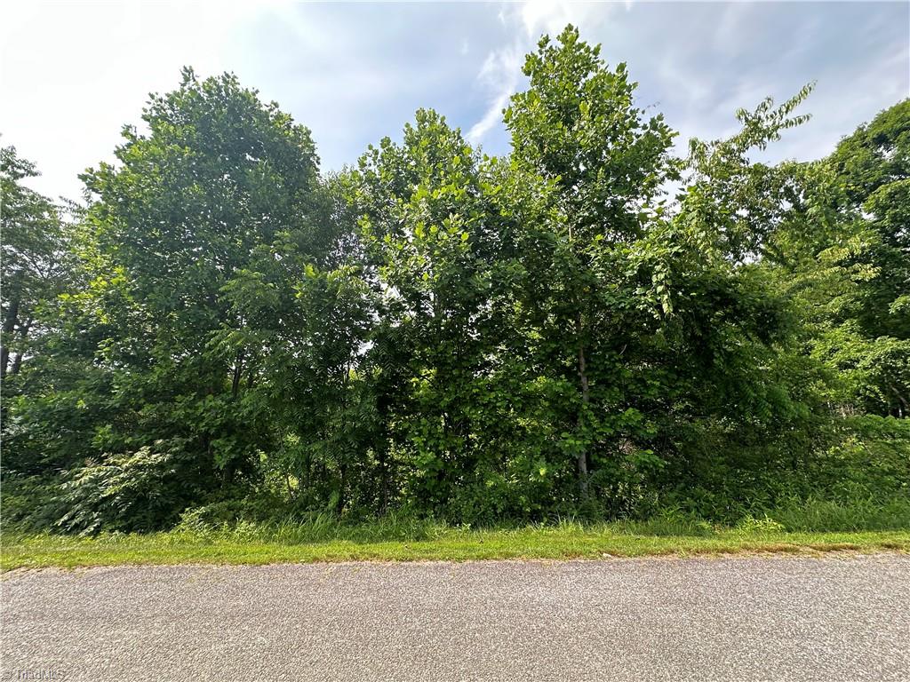 Tbd Clearview Road Moravian Falls, NC 28654 - Photo 3 of 20 Gallery Image 3