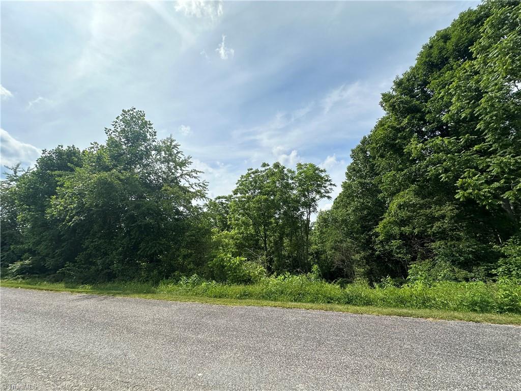 Tbd Clearview Road Moravian Falls, NC 28654 - Photo 4 of 20 Gallery Image 4