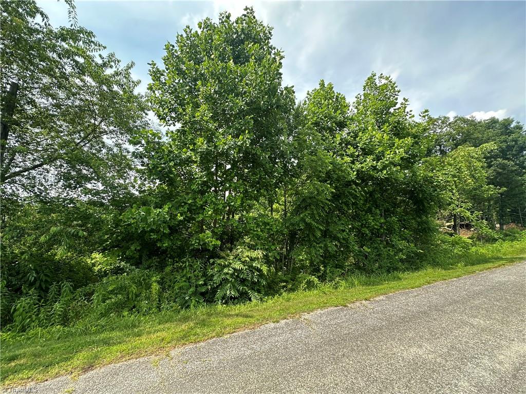 Tbd Clearview Road Moravian Falls, NC 28654 - Photo 7 of 20 Gallery Image 7