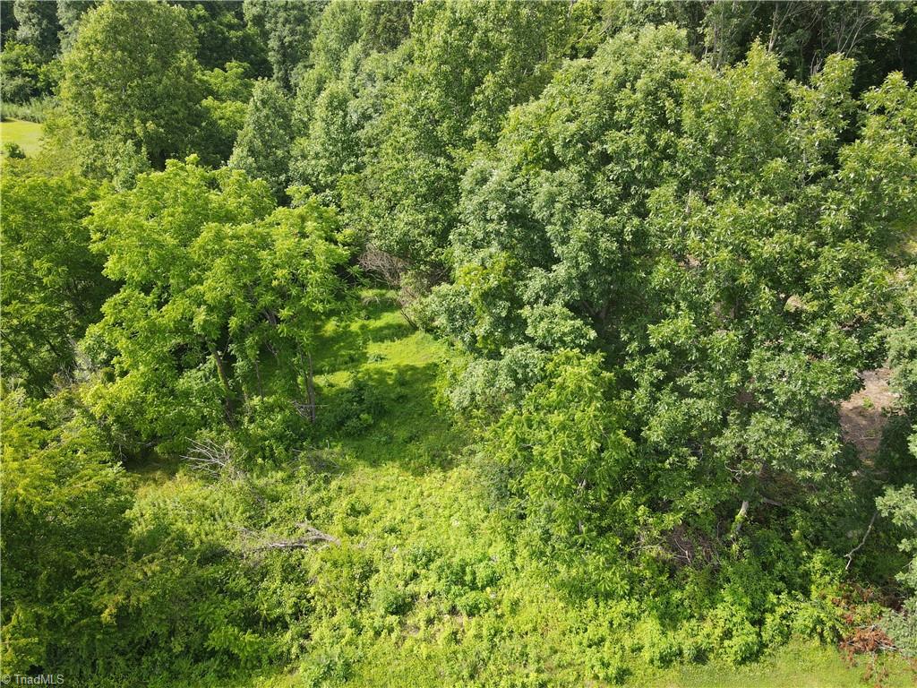 Tbd Clearview Road Moravian Falls, NC 28654 - Photo 8 of 20 Gallery Image 8